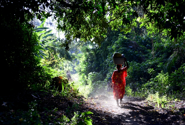 Foto: Nature Picture Library